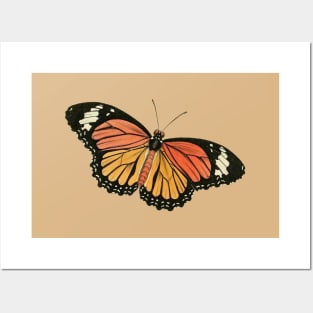 Vintage butterflies Pattern Posters and Art